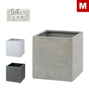 L[u|bg Jg540W540×D540×H540mm eʖ100L ꌊȂ v^[Jo[ Aؔ  Vv_fUC lC̐`^  }bgȎFɂ ό