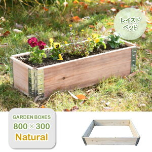 K[f{bNX800×300 i`グԒd CYhxbh ؐg K[fxbĥȂv^[g  | ƒ؉ |^WF DIYEzs