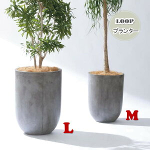 v^[ [v M:550×H740mm^L:450×H600mmiꌊj v^[Jo[ Aؔ O[|bg  Vv_ }[m  RN[g̕