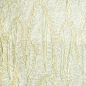 AQXp(S2F)ᐔʁu5v 10cmPʔ̔