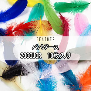 ppO[X[10{](S23F)1ܒPʔ̔