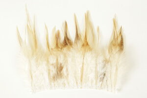 yʌznbNtWS[20{](S12F)1ܒPʔ̔