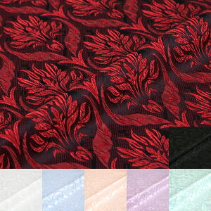 G[fCXWK[h(S7F)ᐔʁu5v 10cmPʔ̔