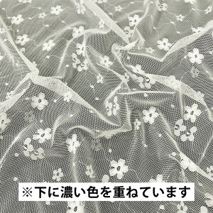 CXgb`[X(S2F)ᐔʁu5v 10cmPʔ̔