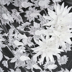 G[f_A`[(S7F)ᐔʁu5v 10cmPʔ̔