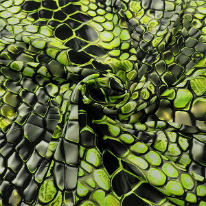 ACAXlCNW[[bg(S2F)ᐔʁu5v 10cmPʔ̔