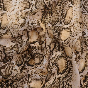 T[pgXlCNW[[bg(S1F)ᐔʁu5v 10cmPʔ̔