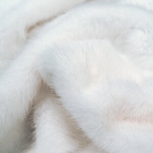 ETMt@[(S6F)ᐔʁu5v 10cmPʔ̔