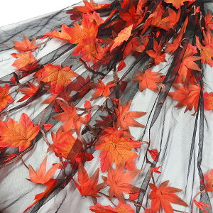 ~W`[(S4F)ᐔʁu5v 10cmPʔ̔