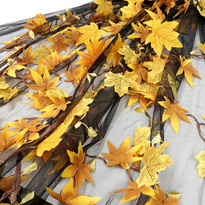 ���~�W�`���[��(�S4�F)�ᐔ�ʁu5�v���� 10cm�P�ʔ̔���