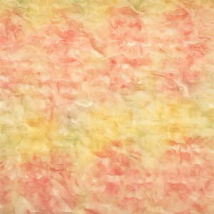 stBI[(S3F)ᐔʁu5v 10cmPʔ̔