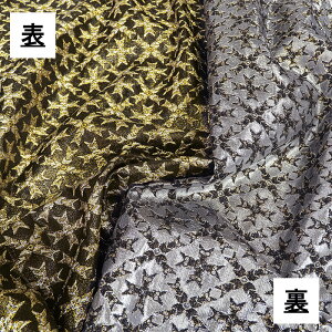 OhNXWK[h(S3F)ᐔʁu5v 10cmPʔ̔