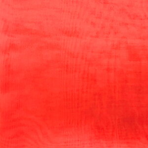 yz50ԃW[[bg(10F/S53F)1Pʔ̔