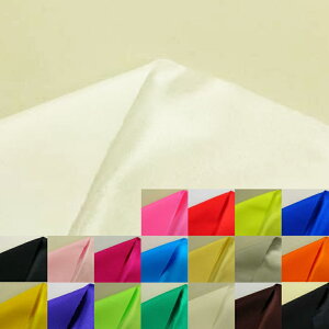 98039FEF[(S19F)ᐔʁu5v 10cmPʔ̔