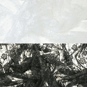 9990[X(S2F)ᐔʁu5v 10cmPʔ̔