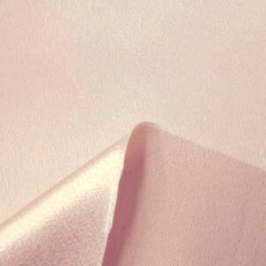 T3770fbNXobNTe(19F/S39F)ᐔʁu5v 10cmPʔ̔