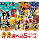 ご当地ラーメン エースコック ご当地の一杯 選べる合計5ケース（60個入）セット 【エースコック 送料無料】