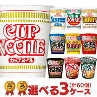 カップヌードル タテ型カップ　選べる合計3ケース（計60個）セット [ スパイスSHOCKカレー 日清食品 送料…