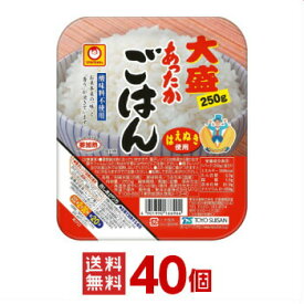 大盛 マルちゃん レトルトご飯 あったかごはん 大盛250g 40個（10個入×4ケース分） [ 東洋水産 送料無料 レトルト食品 白ごはん レンジごはん 非常食 保存食 まとめ買い 箱 ケース 仕送り ]