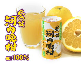 愛工房 河内晩柑ストレートジュース 果汁100% 125ml×30本セット ケース販売