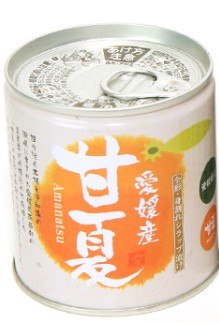 愛媛産柑橘缶詰 ショップ 甘夏シラップづけ 295g×12個セット 安心の定価販売 5号缶