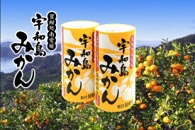 愛工房 宇和島温州みかんストレートジュース 果汁100% 125ml×30本セット ケース販売