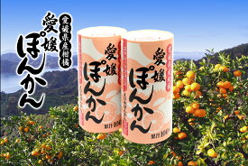 愛工房 愛媛ぽんかんストレートジュース 果汁100% 125ml×30本セット ケース販売　お中元 ギフト 愛媛 宇和島 みかん みかんジュース フルーツジュース 贈り物 お返し 内祝い 100％ジュース おいしい 高級柑橘 国産 ポンジュース　ポンカン
