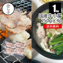 【SALE 25%OFF】国産牛 ホルモン 1kg【送料無料】牛小腸 250g×4パック もつ鍋 冷凍 小腸 小分け 真空 約10人前 焼肉 白モツ