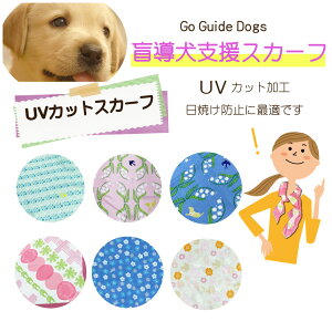 ӓx XJ[t 唻 ӓ̎xɂȂ܂B蕨 v[gɐlC 񌳉؂₩ UVH Oh~ ΍ 킢 XJ[tlC t@bV fB[X ԕ k 