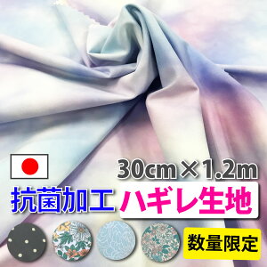 DyMAUVERۃvXnMn z킢@ j̎q ̎q  nhCh  Â Ntg  | V w 