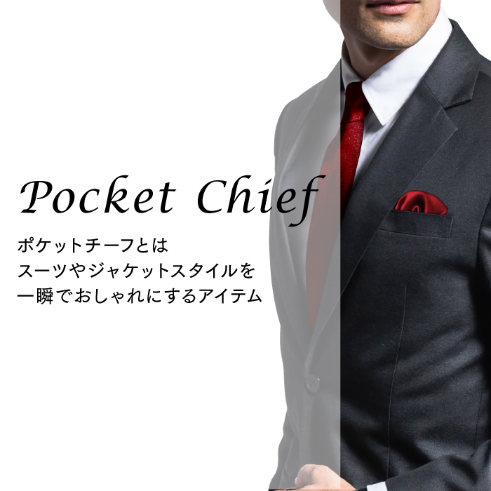 ポケットチーフ 簡単 挿すだけ ハンカチ 白 結婚式 スーツ 上品 サイズ調整可 通販