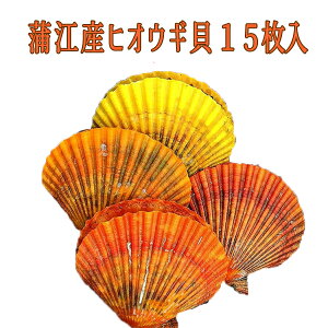 啪s]̃qIEMLyqIEML15zz^eǃqIEMLIIBBQȂǂŊ̊CNI