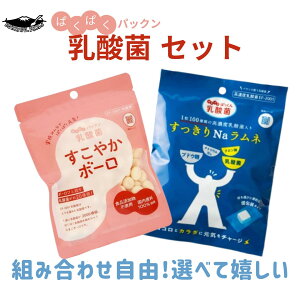 1000~ۂ yYz H 7 kCY n鏒ł Ă񂳂 gp Oet[  ₩{[ 60g Nal 30g Zx_۔z ql j Mt