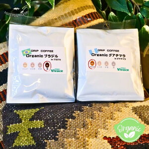   hbvR[q[ 10t I[KjbN fJtF  8g ݔ hbvobN   }Ch [ [  {i  J  vivaceR[q[  