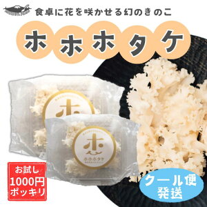 y5ԌP5{z1000~|bL  2Zbg Yn ÉYyV󃌃Xgzzzz^P ͂Ȃт炽  ̂ GS`IlC FmǗ\h A`GCWO 