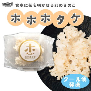 ySSP5{zYn ÉY zzz^P ͂Ȃт炽  ̂ GS`IlC FmǗ\h A`GCWO Ka\h OJ RXe[l̒ቺ 