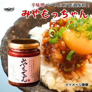 わけあり 半額 みやもっちゃん 250g 辛味噌 ソース 国産 コチュジャン みそ 味噌 唐辛子 辛い ご飯のおとも 野菜炒め 焼き肉 BBQ 調味料 味変 卵 ご飯 麺 餃子 肉料理 野菜スティック 豆腐 お酒