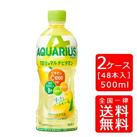 【送料無料】アクエリアス 1日分のマルチビタミン PET 500ml【24本×2ケース】※代引き不可・クール便不可※のし・ギフト包装不可※コカ・コーラ製品以外との同梱不可ご注文完了後のキャンセル不可