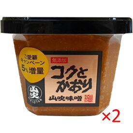 山吹味噌 無添加 コクとかおり 500g 2カップ【信州味噌 味噌 みそ 調味料】