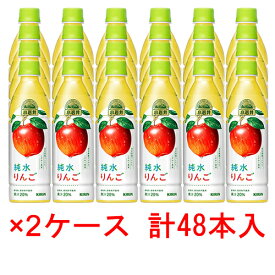 (2ケース)キリン 小岩井 純水りんご 430mlPET 48本 【 林檎 ジュース ペットボトル 】