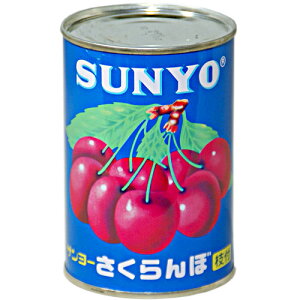 T[  4 425g SUNYO Y t[c ʋl ~ gbsO