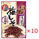 【送料無料(ゆうパケット)】にんべん しっとりソフトふりかけ 梅しそ 30g×10袋【ふりかけ お弁当 おにぎり】