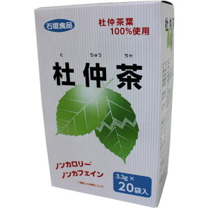 【訳あり40%OFF】石垣食品 杜仲茶 66g(3.3gx20袋)