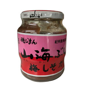 邶܂ RCԂ 300g rl E ˂~   gbsO