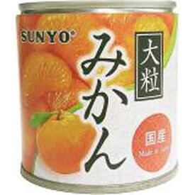 サンヨー堂 国産 大粒みかん M2号缶 190g SUNYO 缶詰 フルーツ 果物 蜜柑 備蓄 トッピング デザート