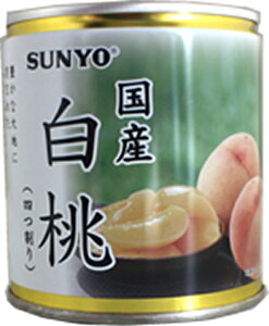 T[ Y EO5 295g SUNYO   ʋl ~t[c ʕ gbsO