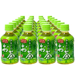 TKA x Ȃ̂ 280ml 24{