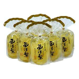 T[ R`Y m(tX)ʎ[[ 350g SUNYO ~ ~  t[c[[