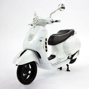 NewRay ij[Cj Vespa GTS 300 SUPER zCg FXp xXp [^[TCN oCN