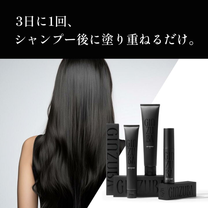 楽天市場】GINZUBA3ステップトリートメント ギンズバ 内部補修 ホーム  